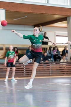 Bild 235 - wDJ HSG Kremperheide/Muensterdorf - TSV SR Schuelp : Ergebnis: 26:5